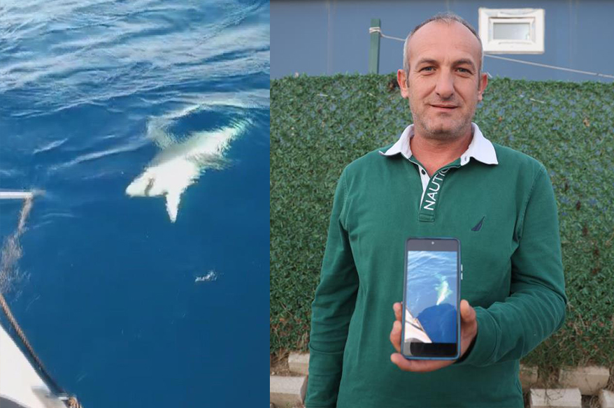 Amatör balıkçılar köpek balığından 1 saat süren mücadeleyle kurtuldu