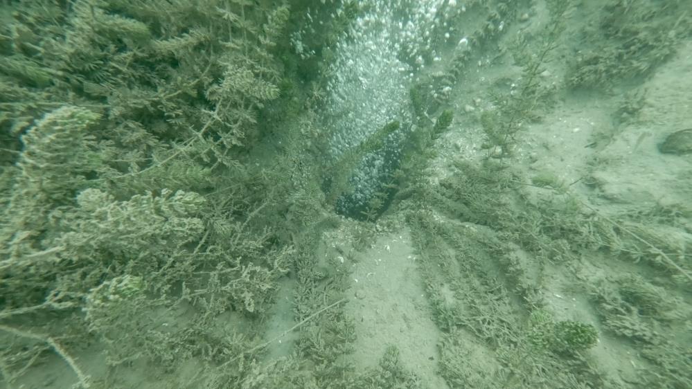 Sapanca Gölü’ndeki kabarcıkların verdiği endişe artıyor: 