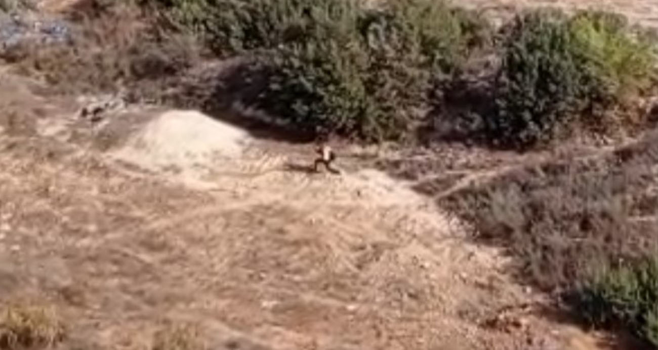 Adana’da nefes kesen kovalamaca: Firari hükümlü boş arazide yakalandı