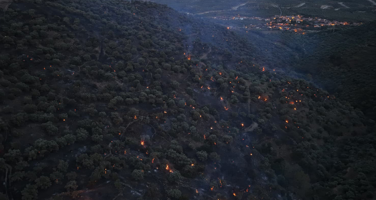 Bozdoğan yangını büyük ölçüde kontrol altına alındı