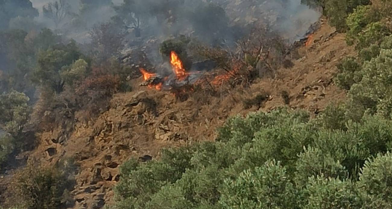 Bozdoğan’da orman yangını