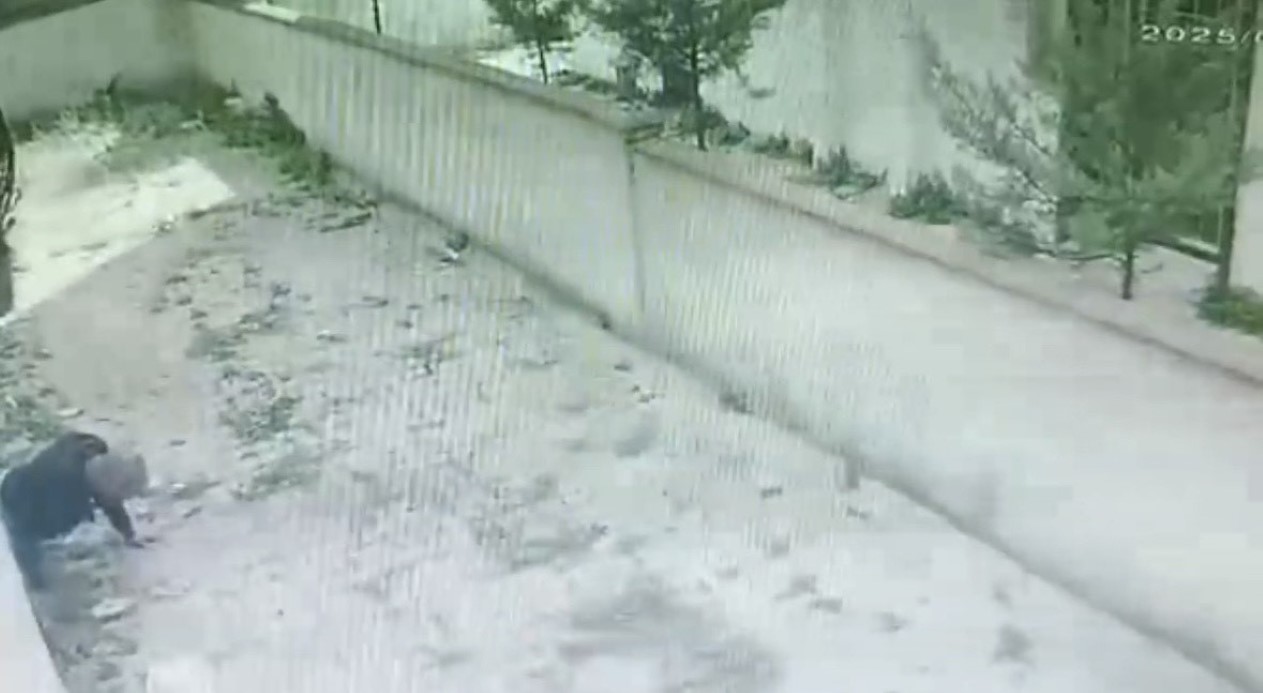 Kartal’da pencereden sürünerek girdiği iş yerinden hırsızlık yaptı