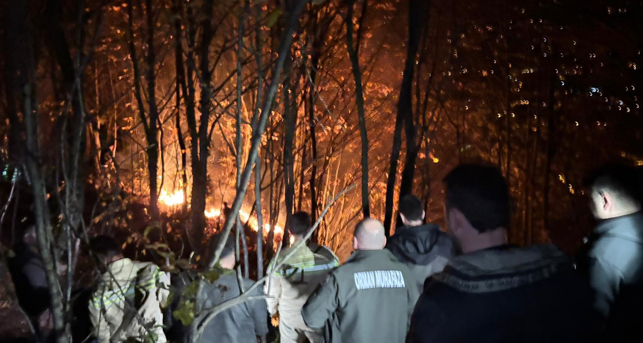 Ordu’da ormanlık alanda yangın