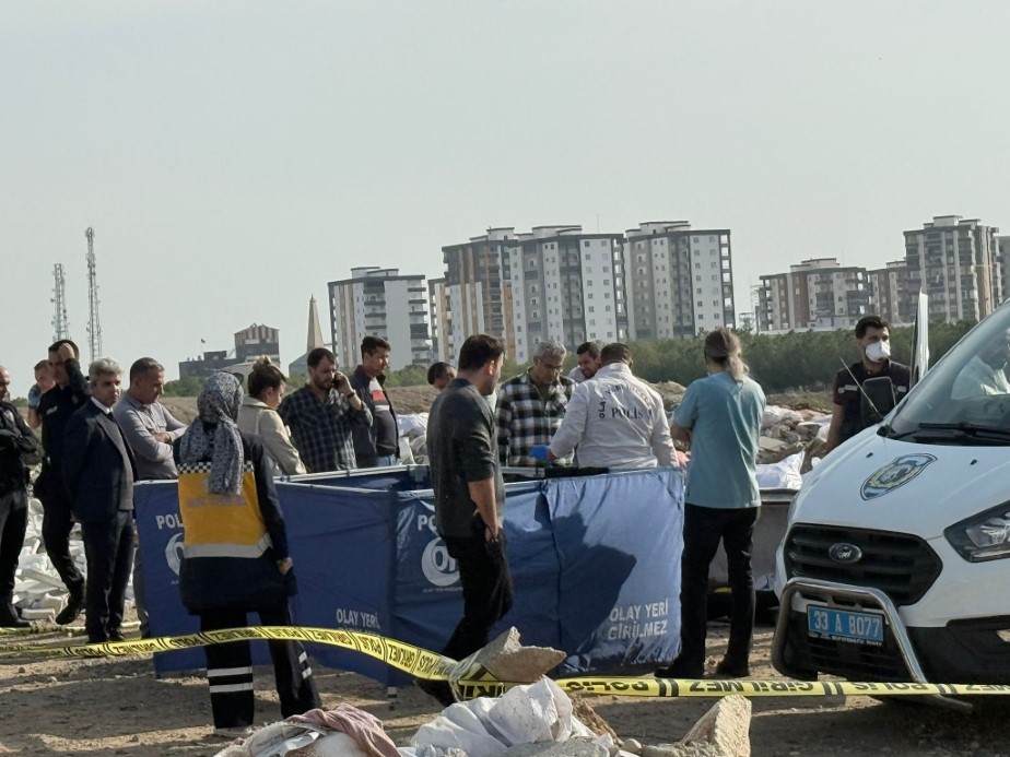 Mersin’de korkunç cinayet: Öldürüp tuzlayıp halıya sarıp çekyatla atmışlar