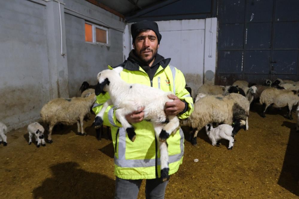 Erzincanlı üretici yüzde 50 hibe desteğiyle 8 milyon TL’lik çiftlik kurdu