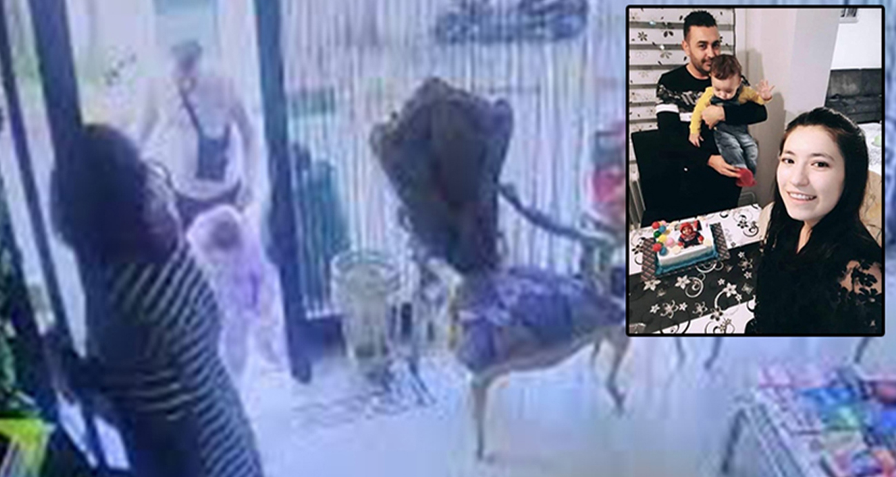 Böcek ailesinin ölümüne ilişkin Adli Tıp Kurumu bilgi notu ortaya çıktı: "Fosfin gazı tespit edildi"