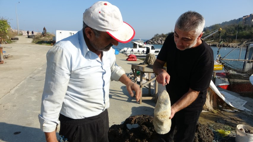 Giresun’un Bulancak ilçesinde denizde bulunan cisim balıkçıları şaşırttı