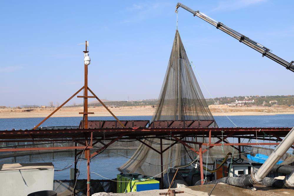 Bozkırda Türk somonu üretim başarısı