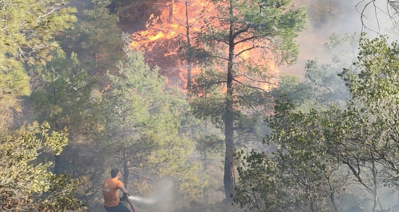 Hatay’da orman yangını