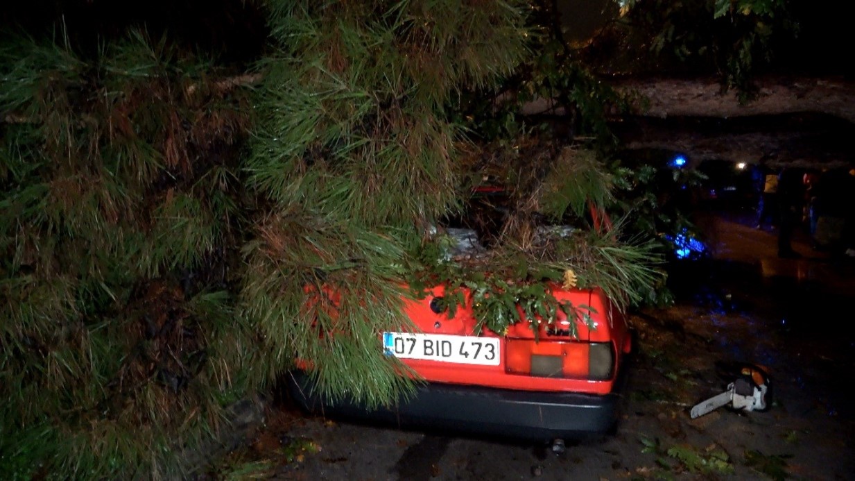 Antalya’da yağmur ve şiddetli rüzgar 10 metrelik ağacı devirdi: İki araç ve bina zarar gördü