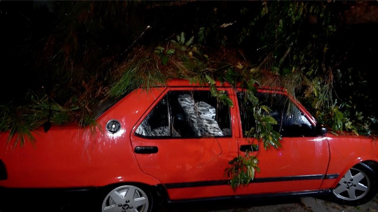Antalya’da yağmur ve şiddetli rüzgar 10 metrelik ağacı devirdi: İki araç ve bina zarar gördü