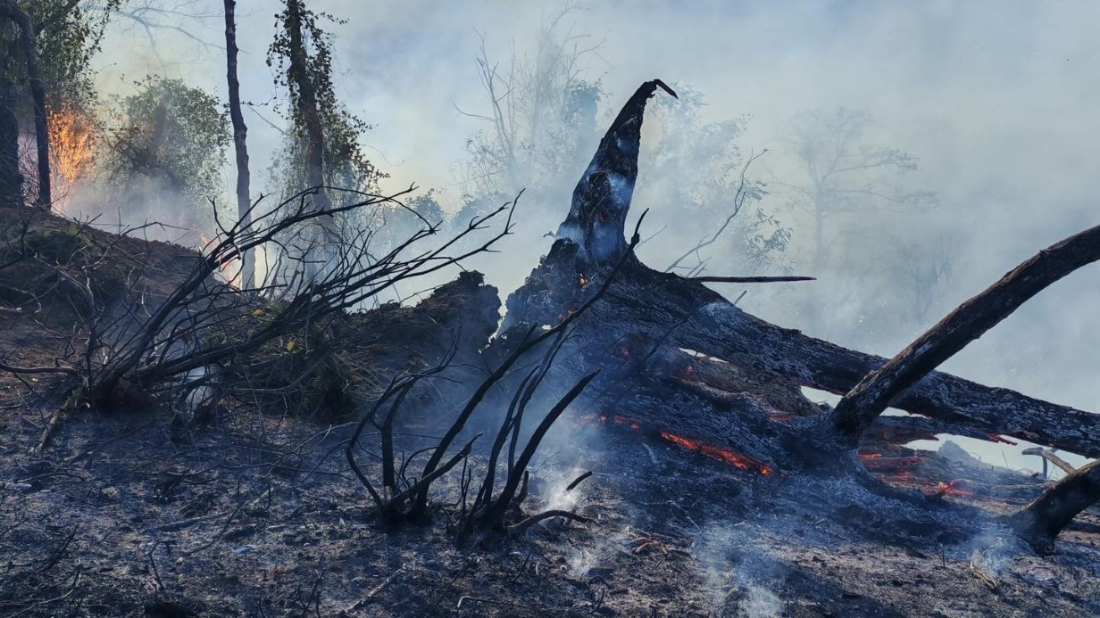 Artvin Hopa’da 5 hektarlık alanı küle çeviren yangınla mücadele sürüyor
