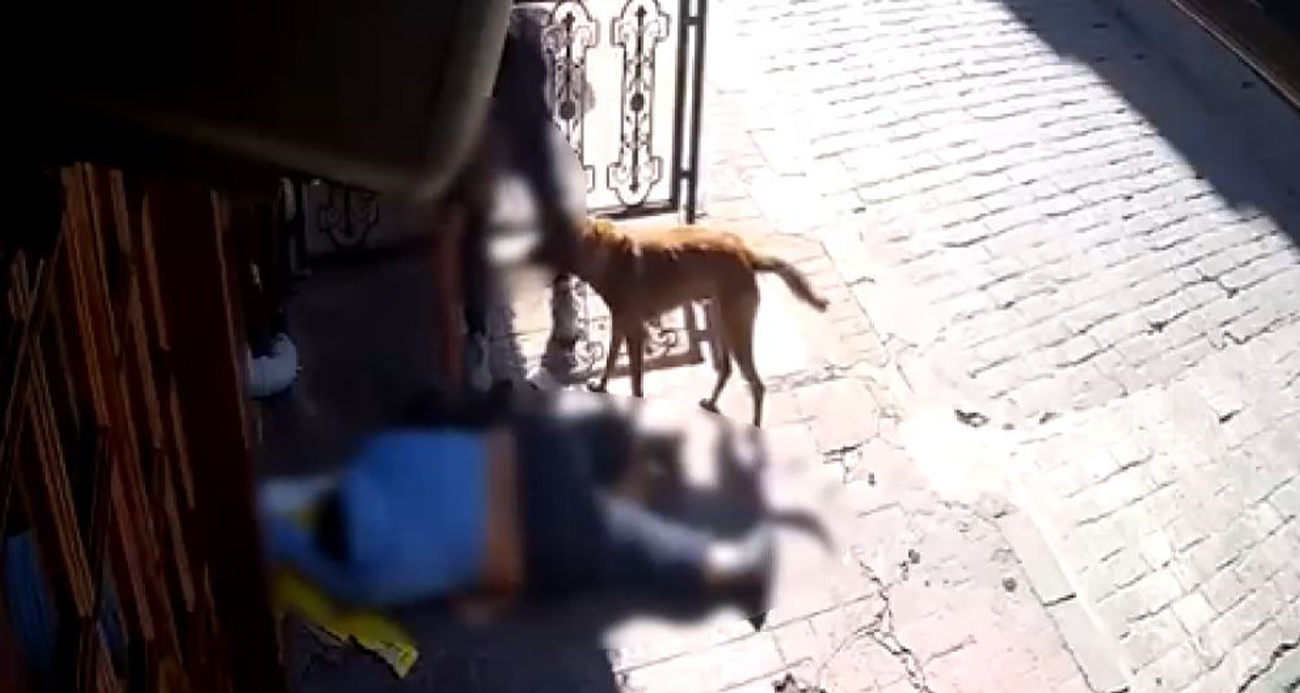 Beyoğlu’nda "pes" dedirten olay: Sara nöbeti sonrası bayılan adamın telefonunu çaldılar