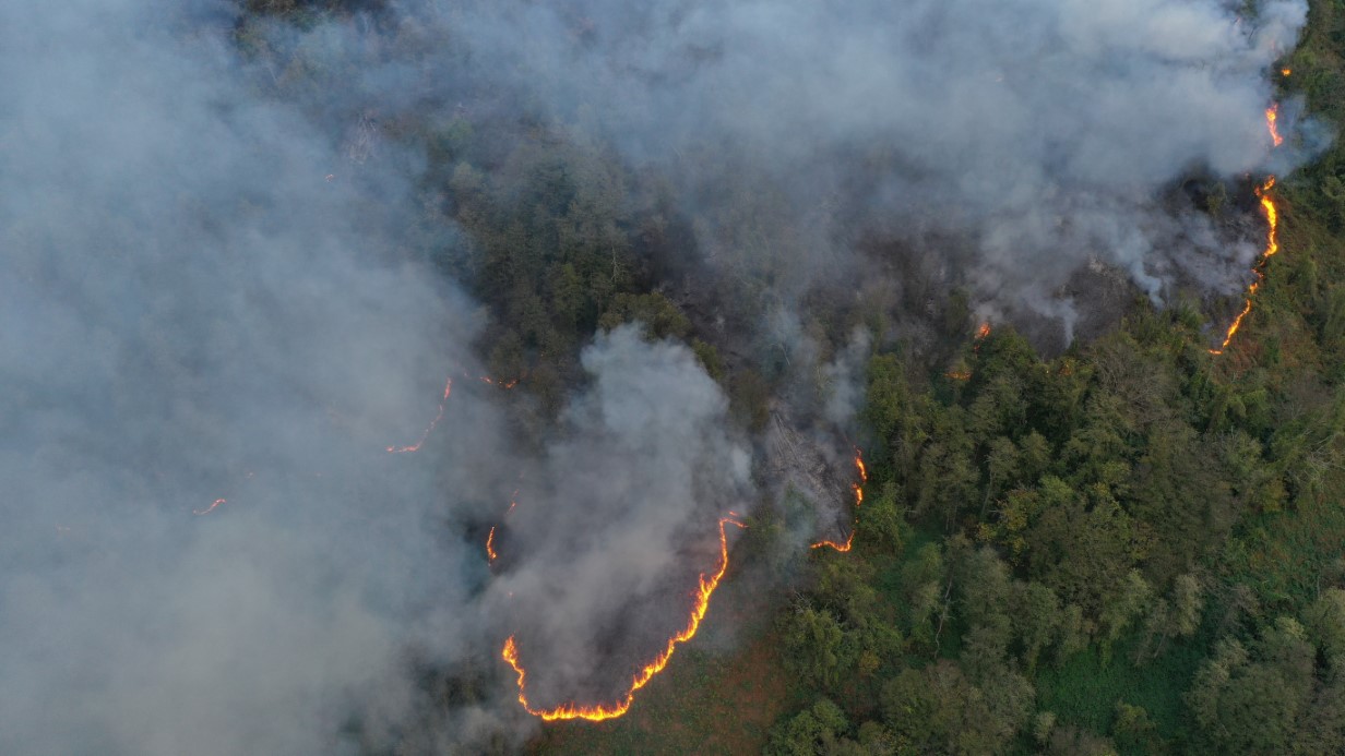 Hopa’daki orman yangını söndürüldü, soğutma çalışmaları sürüyor
