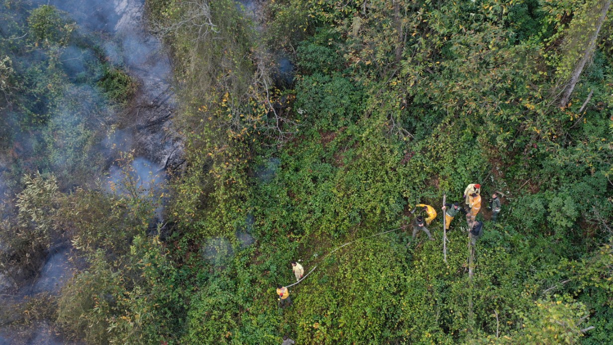 Hopa’daki orman yangını söndürüldü, soğutma çalışmaları sürüyor