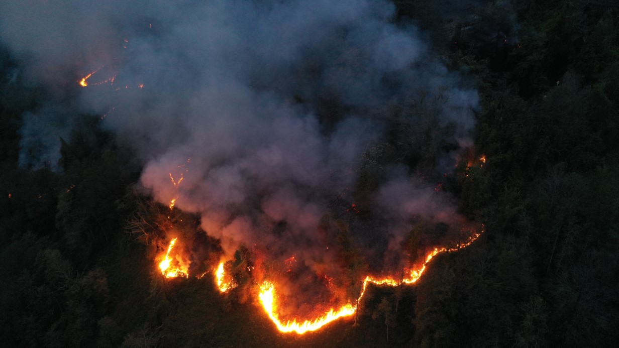 Hopa’daki orman yangını söndürüldü, soğutma çalışmaları sürüyor