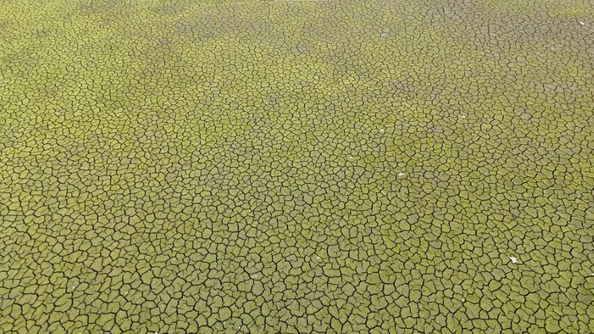 İstanbul barajlarında tehlike çanları