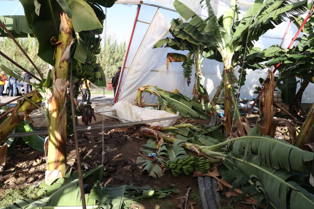 Antalya’da hortumun seralara verdiği zararın boyutu gün yüzüne çıktı