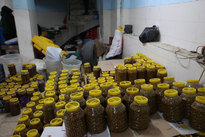 Kilis’te mide bulandıran hijyen skandalı: Merdiven altı üretimde fareler bulundu