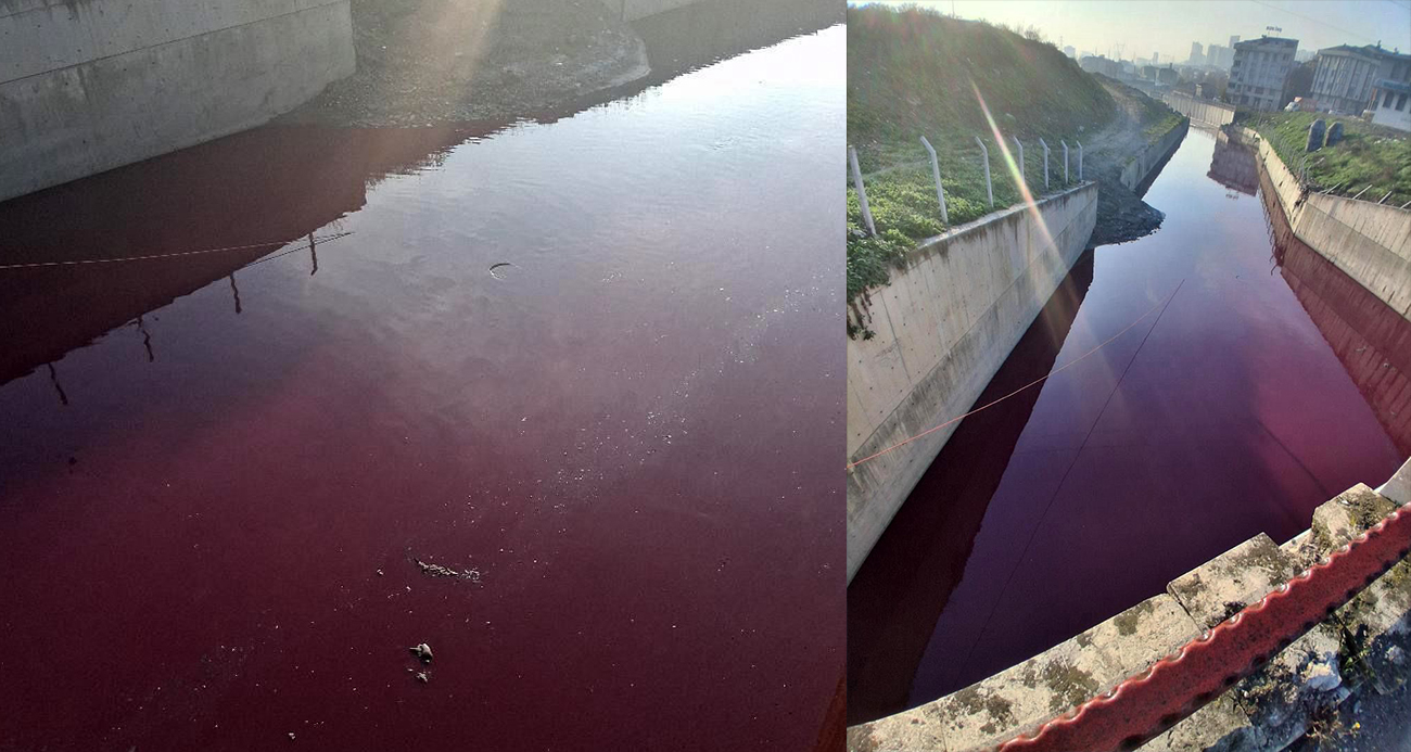 Esenyurt’ta derenin rengi kırmızıya döndü