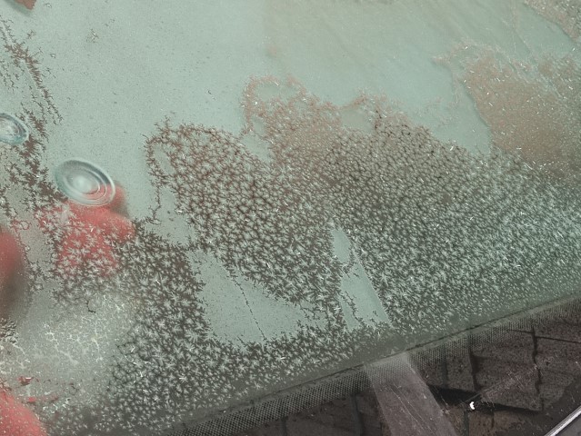 Eksi 17 dereceyi gören kentte araç camları buz tuttu