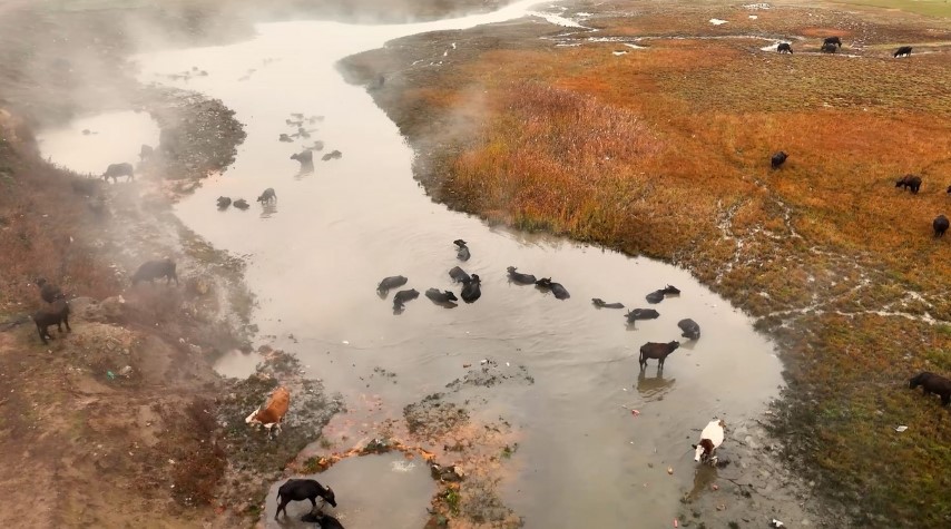 Mandaların kaplıca keyfi havadan görüntülendi