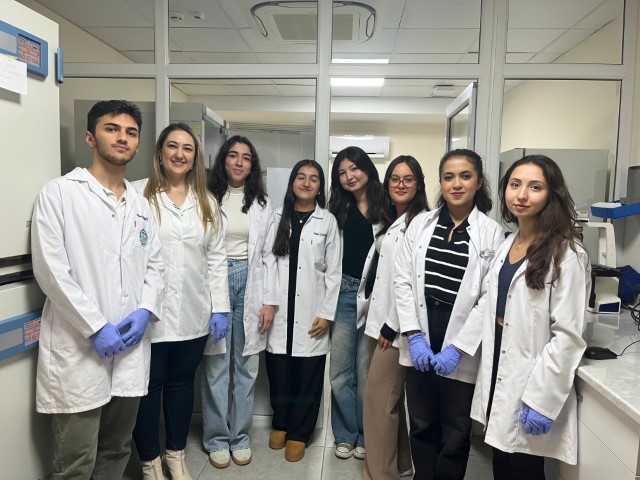 Parkinson’da bağırsak- beyin iletişimi çip üstü organ teknolojisiyle araştırılıyor