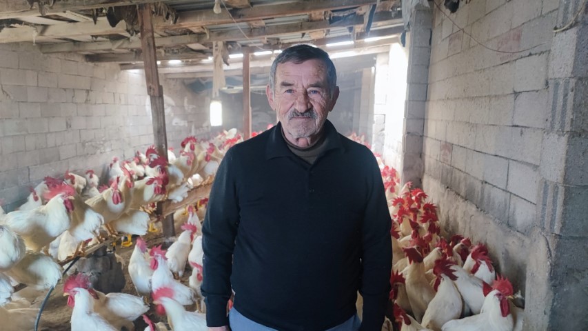 Hobiydi, iş oldu, 3 yılda 850 etlik horoz yetiştirdi