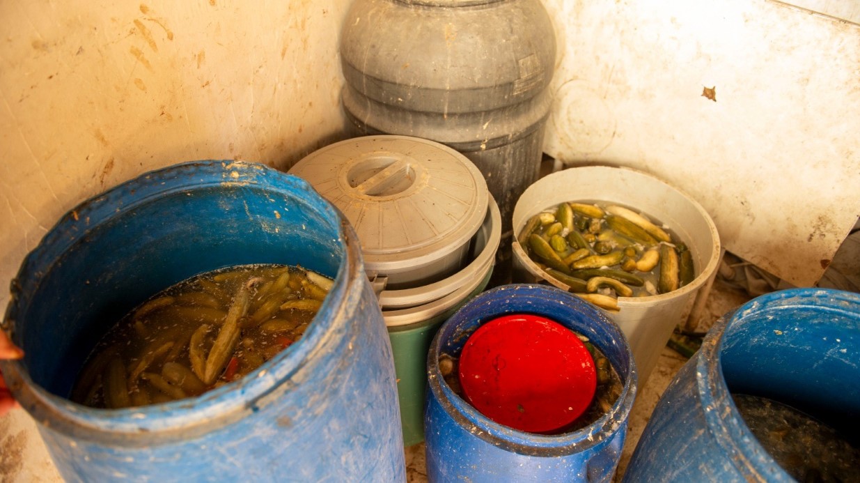 Dönerciden kurtlu salça ve turşu çıktı