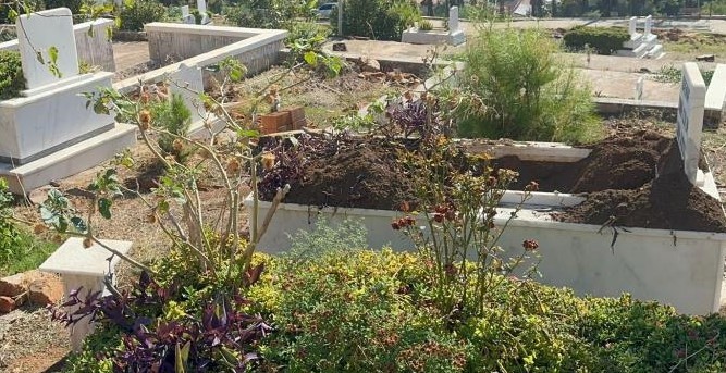 Marmaris’te domuz istilası sürüyor: