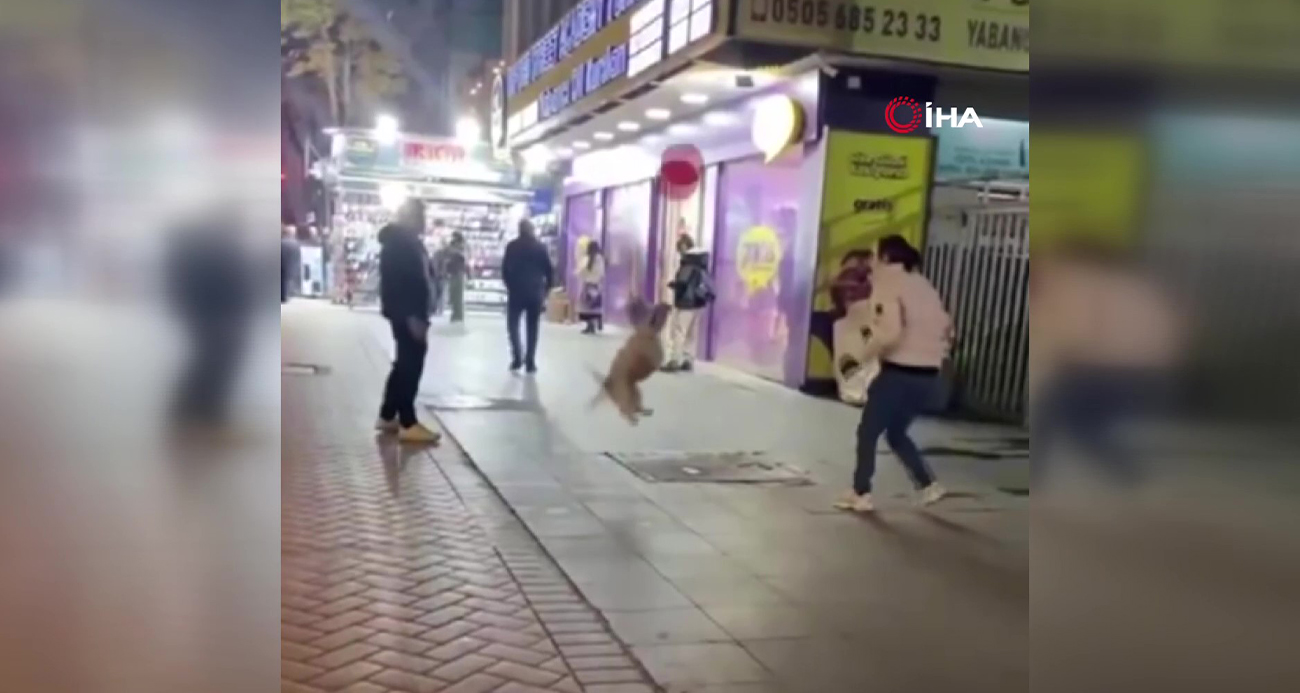 Ankara’da sokak ortasında yaşanan ilginç ve eğlenceli anlar vatandaşların yüzünü güldürdü. Şehirde bir köpek, çevredeki vatandaşlarla birlikte balon sektirerek adeta mini bir gösteri sergiledi.