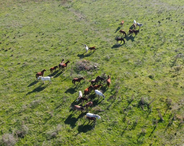 İzmir’de barajlar boşaldı; su kesintileri artık her gün uygulanacak
