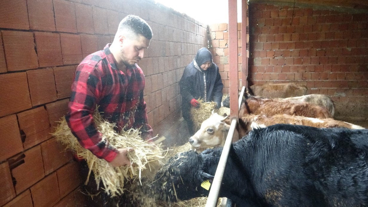 Almanya’dan köyüne döndü, çobanlık yapmaya başladı - GÜNDEM