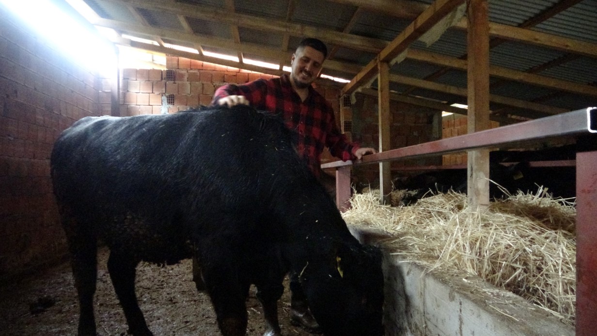 Almanya’dan köyüne döndü, çobanlık yapmaya başladı