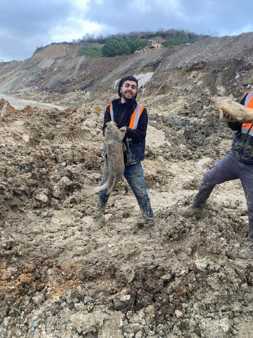 Arnavutköy’de İBB’nin döküm sahasına çevirdiği Mavi Göl’de balıklar can çekişiyor