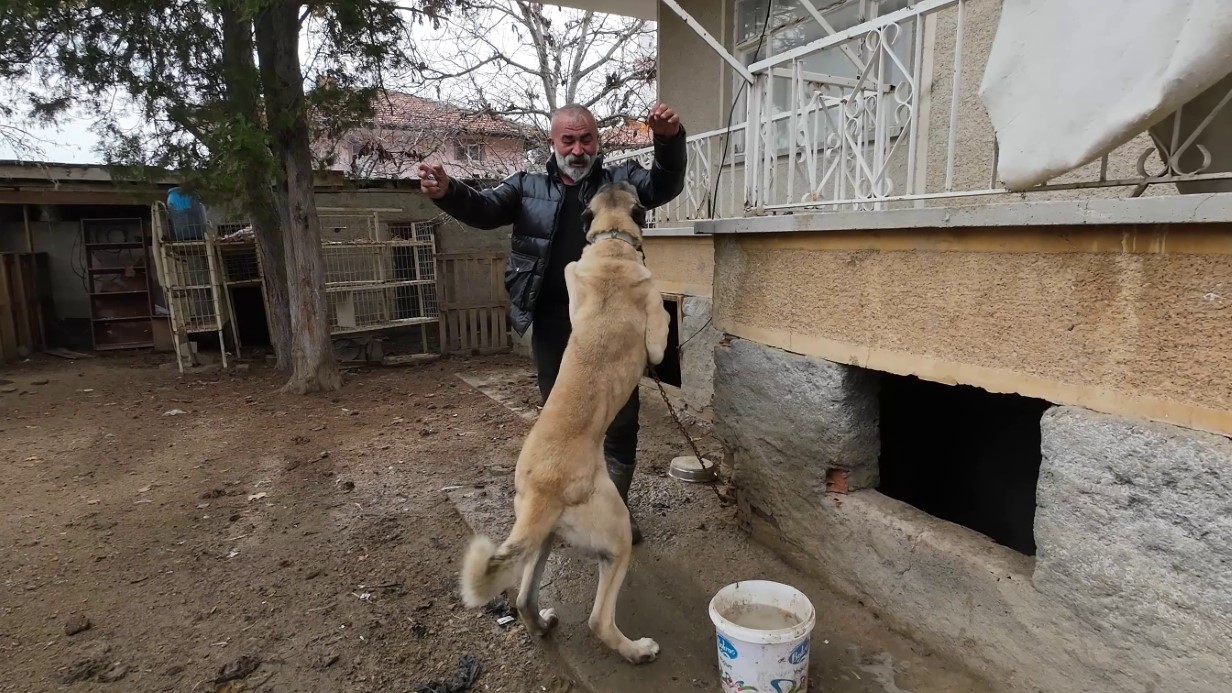 İstanbul’dan memleketi Yozgat’a döndü, binlerce hayvan üreterek geçimini sağlıyor