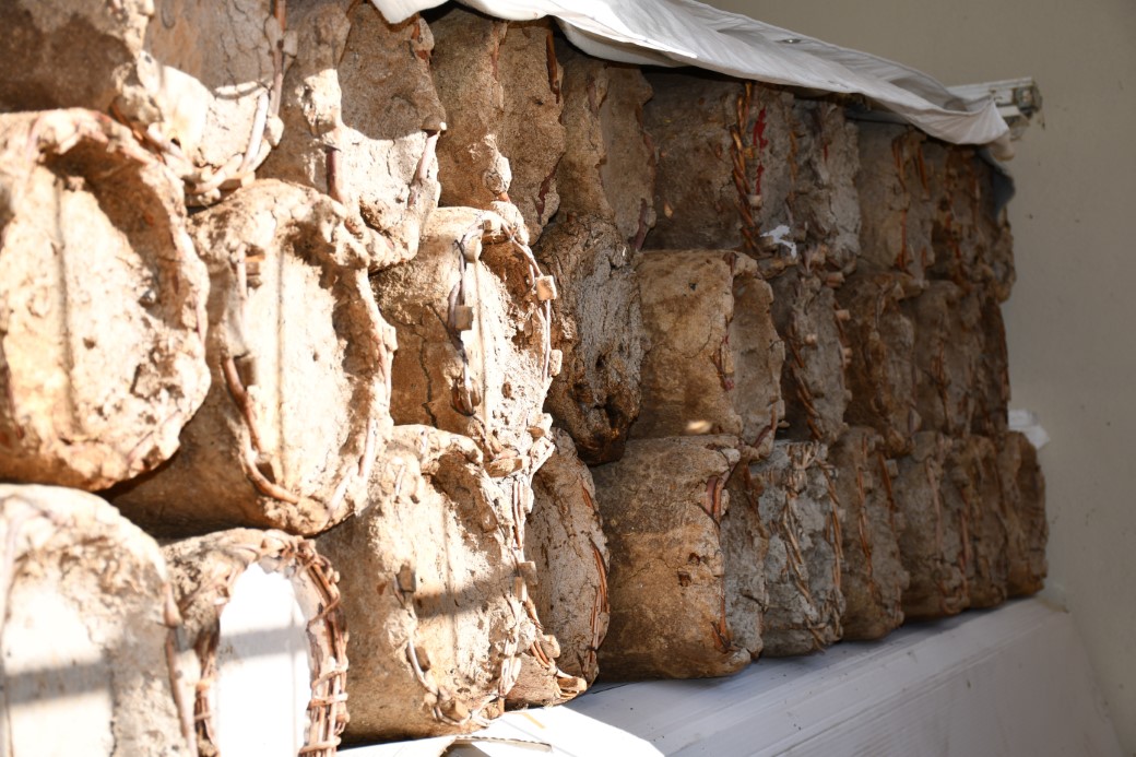 Misafir odasını bal arılarına ayırdı