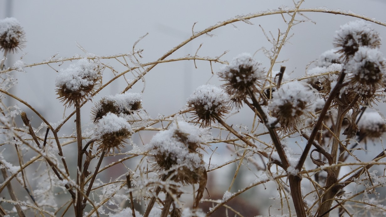 Ardahan eksi 15 dereceyle buz kesti