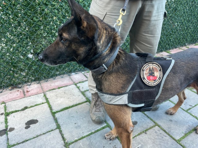 İzmir’de tek operasyonda 3 milyon uyuşturucu hap ele geçti: 46 tutuklama