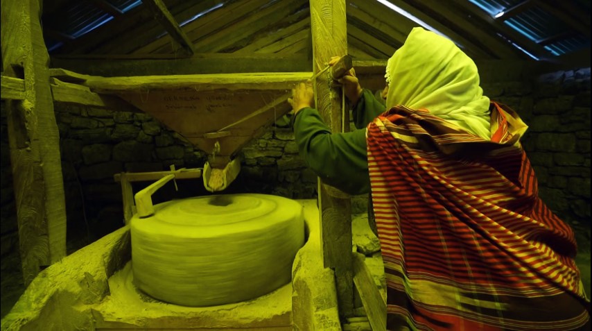 Tarihi değirmenler dönüyor, mısır unu gurbet yollarına çıkıyor