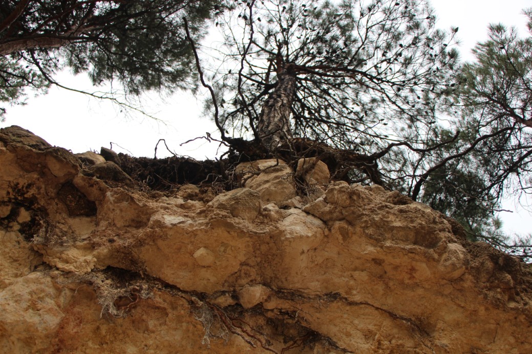 Ferhat diyarı Amasya’da pekmez için dağı deldiler, gören şaştı kaldı