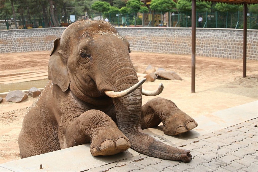 Paribu Cineverse, Emaar Square Mall'daki yeni "ScreenX Salonu" ile sinema deneyimini yeniden tanımlıyor