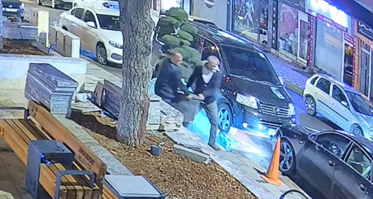 Bu da ağaç hırsızlığı: Parktaki ağacı araçla çaldılar