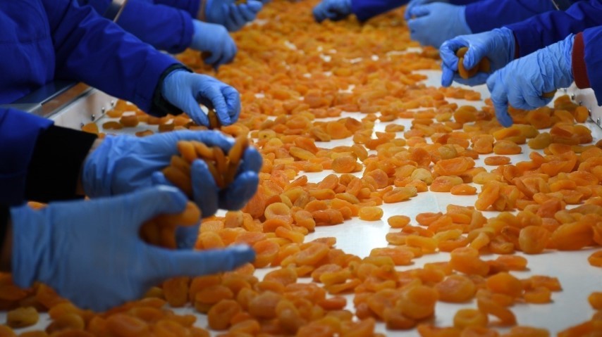 Malatya’da kuru kayısıda 11 ayda 275 milyon dolar gelir elde edildi