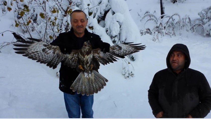 Kargayı atmacanın pençelerinden yoldan geçen vatandaşlar kurtardı