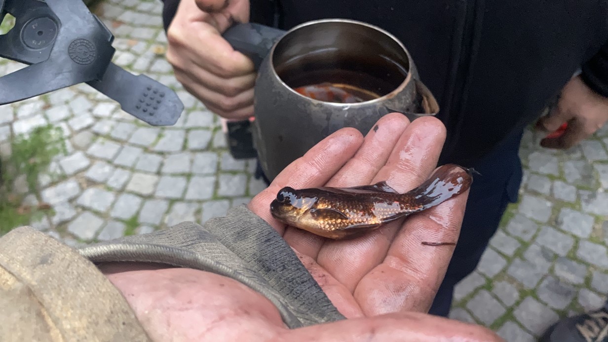 Bursa’da ev yangını: İtfaiyenin hızlı müdahalesiyle akvaryumdaki balıklar kurtarıldı