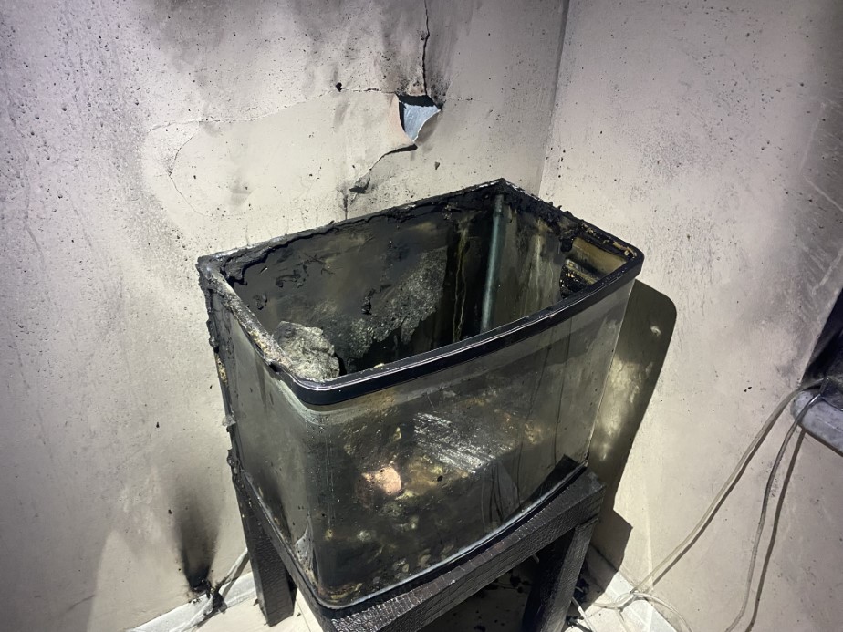 Bursa’da ev yangını: İtfaiyenin hızlı müdahalesiyle akvaryumdaki balıklar kurtarıldı