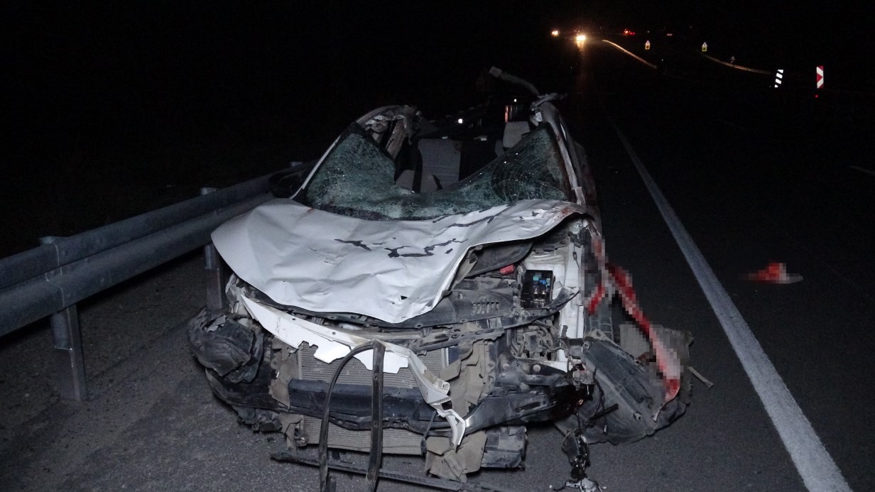 Malatya’da feci olay: Milyonluk taylar karayolunda telef oldu