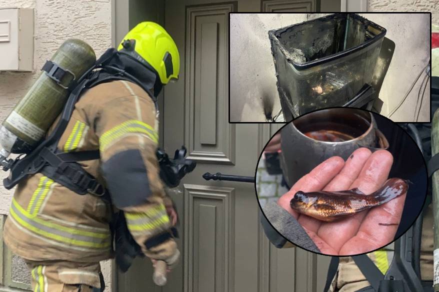 Bursa’da ev yangını: İtfaiye akvaryumdaki balıklar kurtarıldı