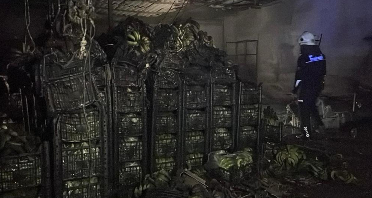 Antalya'nın Alanya ilçesinde bulunan Demirtaş Sebze ve Meyve Hali'nde muz sarartma tesisi deposunda çıkan yangın, itfaiye ekiplerinin müdahalesiyle kontrol altına alındı. Yangında kimse yaralanmazken tonlarca muz zarar gördü.